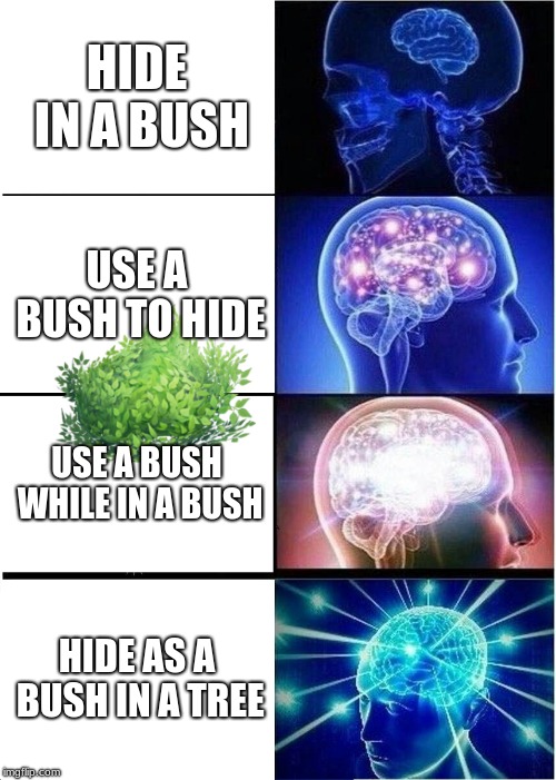Expanding Brain | HIDE IN A BUSH; USE A BUSH TO HIDE; USE A BUSH WHILE IN A BUSH; HIDE AS A BUSH IN A TREE | image tagged in memes,expanding brain | made w/ Imgflip meme maker