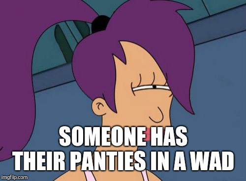 Futurama Leela Meme | SOMEONE HAS THEIR PANTIES IN A WAD | image tagged in memes,futurama leela | made w/ Imgflip meme maker