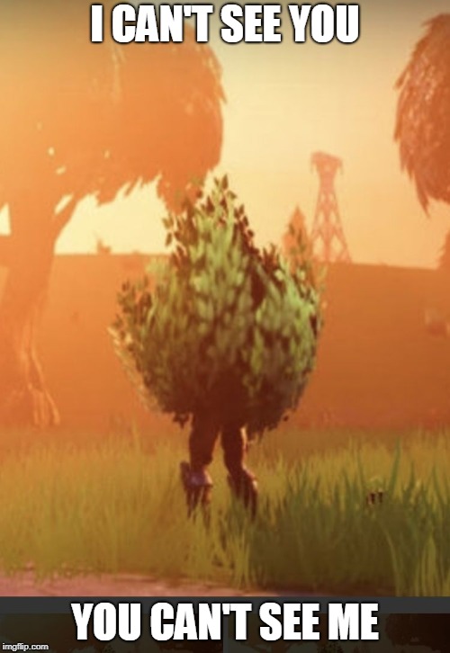 Fortnite bush | I CAN'T SEE YOU; YOU CAN'T SEE ME | image tagged in fortnite bush | made w/ Imgflip meme maker