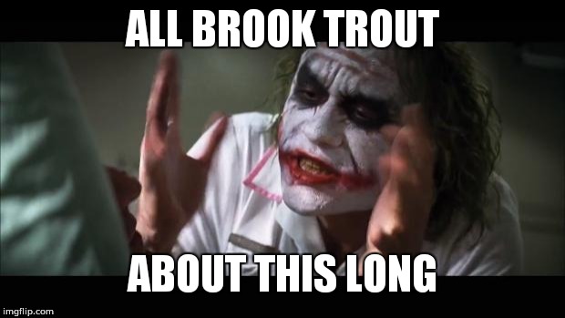 And everybody loses their minds | ALL BROOK TROUT; ABOUT THIS LONG | image tagged in memes,and everybody loses their minds | made w/ Imgflip meme maker