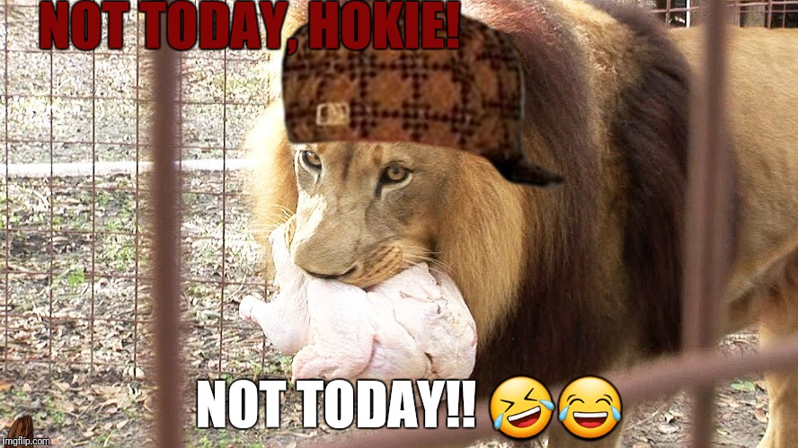 ODU/VaTECH  |  NOT TODAY, HOKIE! NOT TODAY!! 🤣😂 | image tagged in odu/vatech,scumbag | made w/ Imgflip meme maker