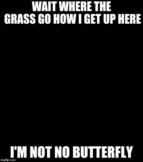 Confused Grasshopper | WAIT WHERE THE GRASS GO HOW I GET UP HERE; I'M NOT NO BUTTERFLY | image tagged in confused grasshopper | made w/ Imgflip meme maker