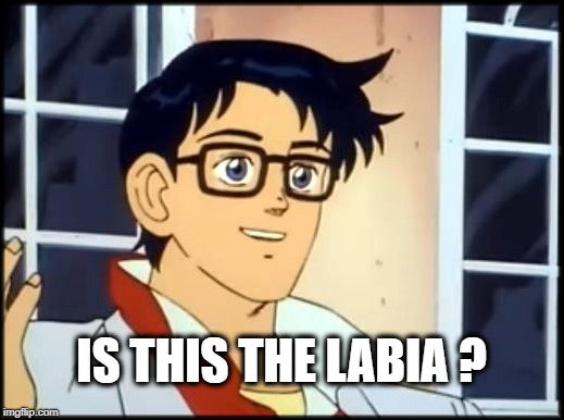 IS THIS THE LABIA ? | image tagged in biology,female,is this a pigeon,fun,sexy chicken,taste the rainbow | made w/ Imgflip meme maker