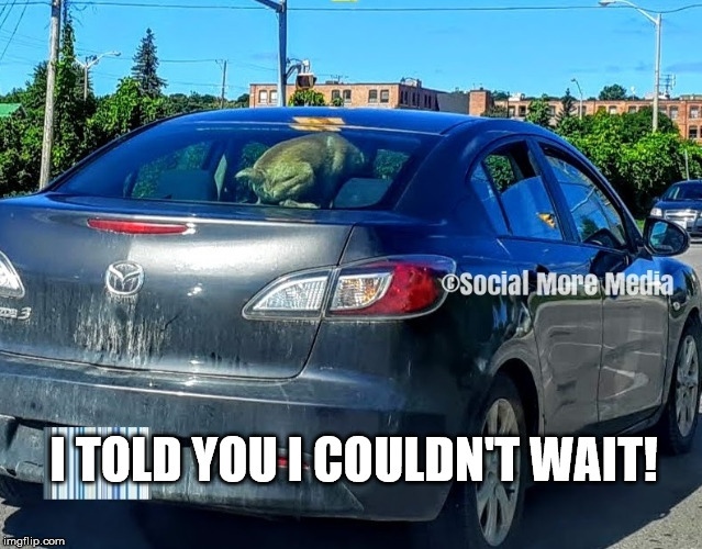 Dog Can't Wait to take a Poop | I TOLD YOU I COULDN'T WAIT! | image tagged in dog,poop,car,orillia,funny memes,social more media | made w/ Imgflip meme maker