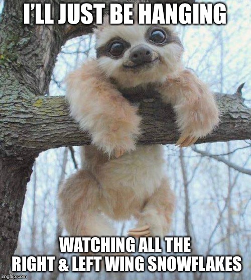 It’s fun triggering right n left wingers | I’LL JUST BE HANGING; WATCHING ALL THE RIGHT & LEFT WING SNOWFLAKES | image tagged in its fun triggering right n left wingers | made w/ Imgflip meme maker