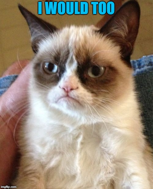 Grumpy Cat Meme | I WOULD TOO | image tagged in memes,grumpy cat | made w/ Imgflip meme maker