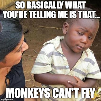 Third World Skeptical Kid Meme | SO BASICALLY WHAT YOU'RE TELLING ME IS THAT... MONKEYS CAN'T FLY | image tagged in memes,third world skeptical kid | made w/ Imgflip meme maker