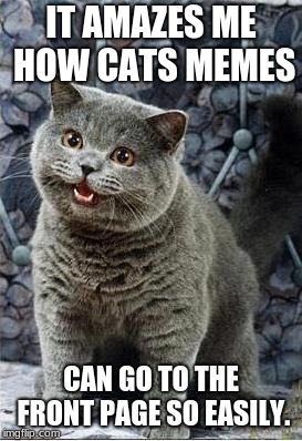 I can has cheezburger cat | IT AMAZES ME HOW CATS MEMES; CAN GO TO THE FRONT PAGE SO EASILY. | image tagged in i can has cheezburger cat | made w/ Imgflip meme maker