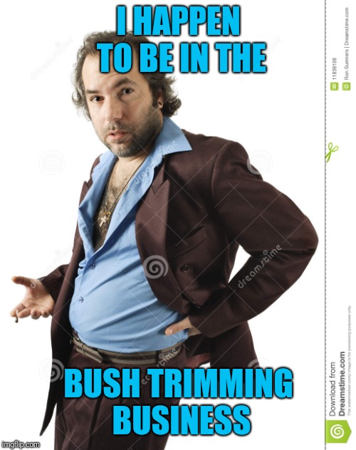 I HAPPEN TO BE IN THE BUSH TRIMMING BUSINESS | made w/ Imgflip meme maker