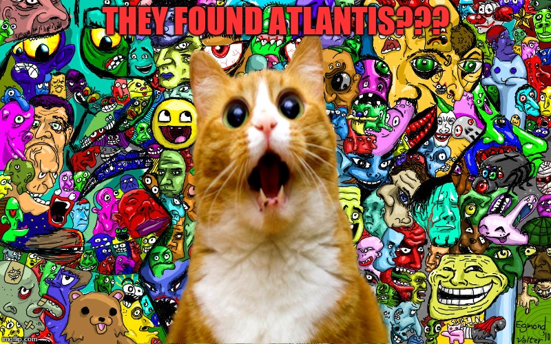 Shocked kitty | THEY FOUND ATLANTIS??? | image tagged in shocked kitty | made w/ Imgflip meme maker
