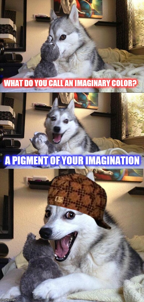 Bad Pun Dog Meme | WHAT DO YOU CALL AN IMAGINARY COLOR? A PIGMENT OF YOUR IMAGINATION | image tagged in memes,bad pun dog,scumbag | made w/ Imgflip meme maker
