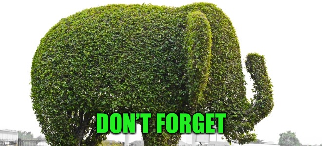 DON’T FORGET | made w/ Imgflip meme maker