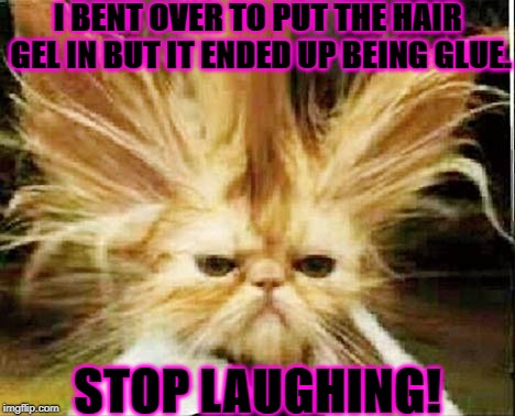 BAD HAIR DAY | I BENT OVER TO PUT THE HAIR GEL IN BUT IT ENDED UP BEING GLUE. STOP LAUGHING! | image tagged in bad hair day | made w/ Imgflip meme maker