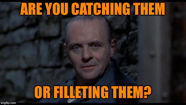 hannibal lecter silence of the lambs | ARE YOU CATCHING THEM OR FILLETING THEM? | image tagged in hannibal lecter silence of the lambs | made w/ Imgflip meme maker