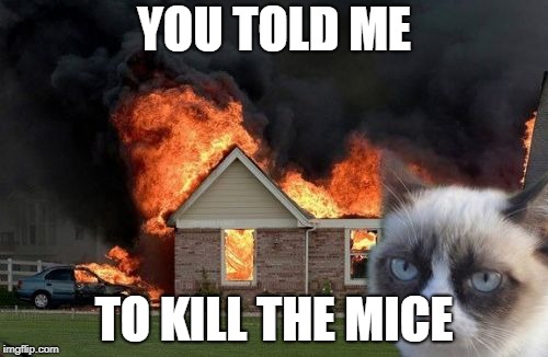 Burn Kitty Meme | YOU TOLD ME; TO KILL THE MICE | image tagged in memes,burn kitty,grumpy cat | made w/ Imgflip meme maker