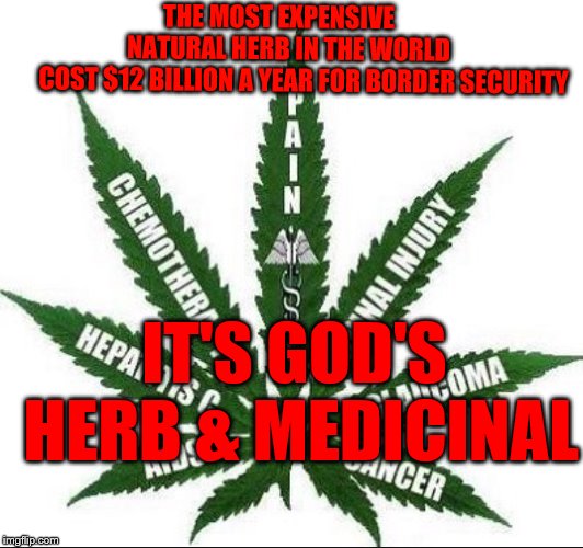 Benefits of Marijuana | THE MOST EXPENSIVE                     NATURAL HERB IN THE WORLD               COST $12 BILLION A YEAR FOR BORDER SECURITY; IT'S GOD'S HERB & MEDICINAL | image tagged in benefits of marijuana | made w/ Imgflip meme maker