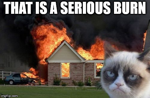 Burn Kitty Meme | THAT IS A SERIOUS BURN | image tagged in memes,burn kitty,grumpy cat | made w/ Imgflip meme maker