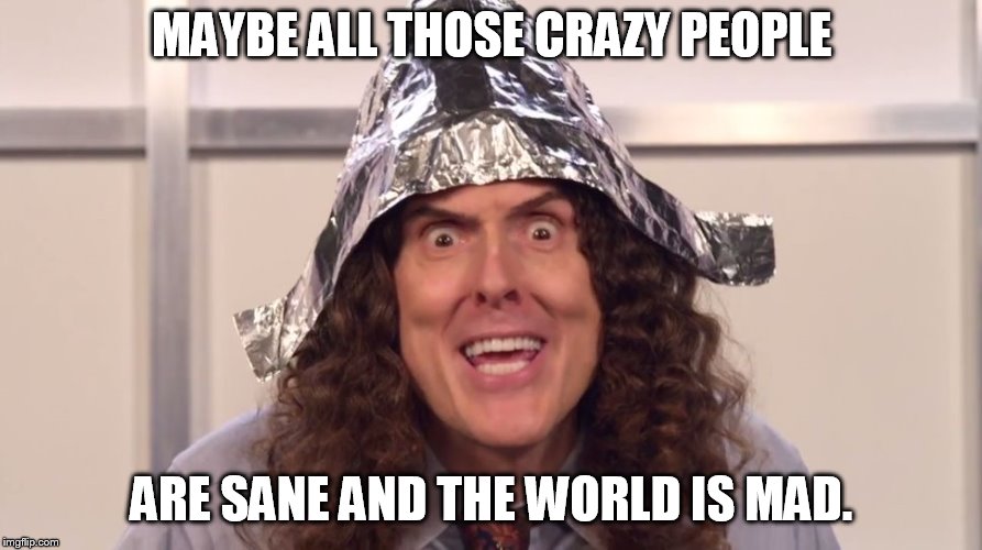 weird al yankovic tinfoil hat | MAYBE ALL THOSE CRAZY PEOPLE ARE SANE AND THE WORLD IS MAD. | image tagged in weird al yankovic tinfoil hat | made w/ Imgflip meme maker