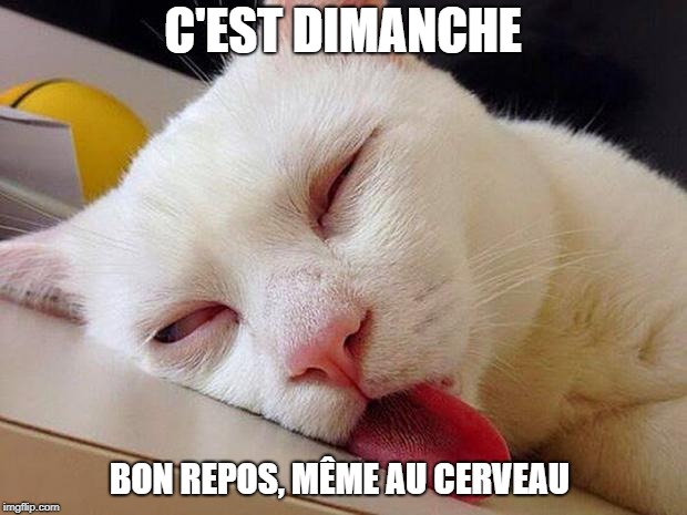 C'EST DIMANCHE BON REPOS, MÃŠME AU CERVEAU | image tagged in sleeping cat | made w/ Imgflip meme maker