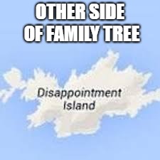 OTHER SIDE OF FAMILY TREE | made w/ Imgflip meme maker