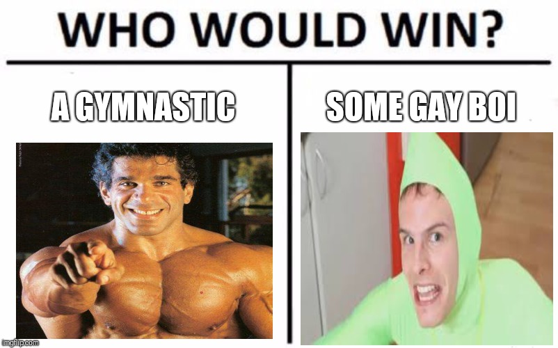 Who Would Win? | A GYMNASTIC; SOME GAY BOI | image tagged in memes,who would win | made w/ Imgflip meme maker