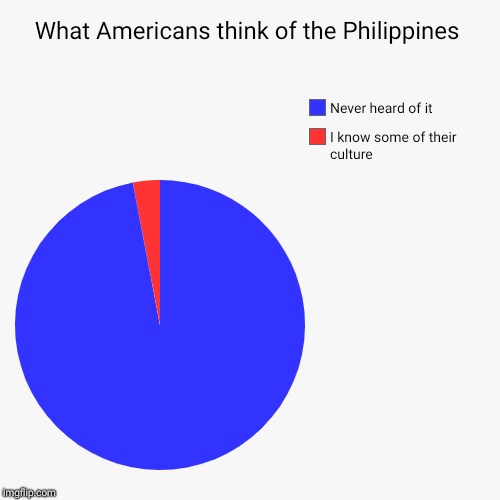 What Americans think of the Philippines | I know some of their culture, Never heard of it | image tagged in funny,pie charts | made w/ Imgflip chart maker