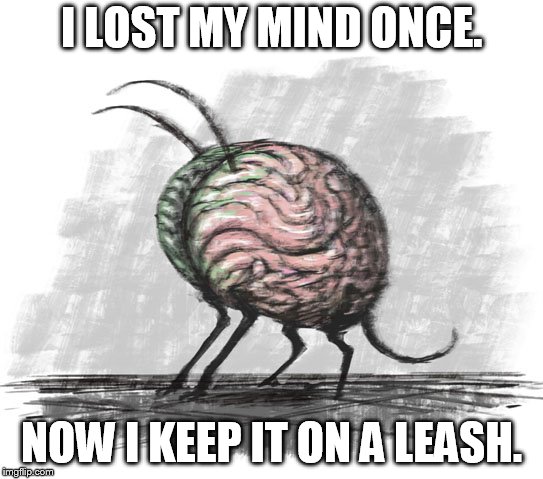 lost mind | I LOST MY MIND ONCE. NOW I KEEP IT ON A LEASH. | image tagged in lost mind | made w/ Imgflip meme maker