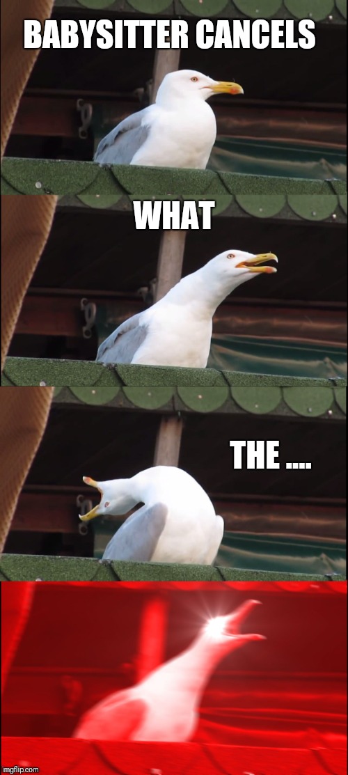 Inhaling Seagull | BABYSITTER CANCELS; WHAT; THE .... | image tagged in memes,inhaling seagull | made w/ Imgflip meme maker