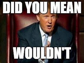 Donald Trump | DID YOU MEAN WOULDN'T | image tagged in donald trump | made w/ Imgflip meme maker
