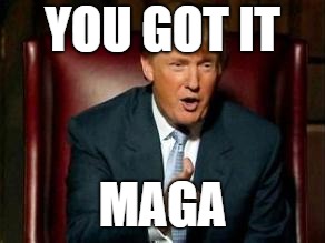 Donald Trump | YOU GOT IT MAGA | image tagged in donald trump | made w/ Imgflip meme maker