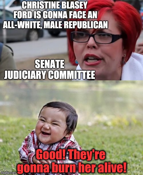 Does she even stand a CHANCE? | CHRISTINE BLASEY FORD IS GONNA FACE AN ALL-WHITE, MALE REPUBLICAN; SENATE JUDICIARY COMMITTEE; Good! They're gonna burn her alive! | image tagged in politics | made w/ Imgflip meme maker