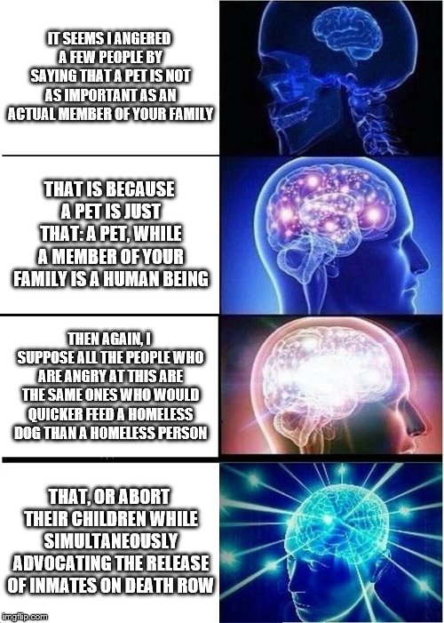 Expanding Brain | IT SEEMS I ANGERED A FEW PEOPLE BY SAYING THAT A PET IS NOT AS IMPORTANT AS AN ACTUAL MEMBER OF YOUR FAMILY; THAT IS BECAUSE A PET IS JUST THAT: A PET, WHILE A MEMBER OF YOUR FAMILY IS A HUMAN BEING; THEN AGAIN, I SUPPOSE ALL THE PEOPLE WHO ARE ANGRY AT THIS ARE THE SAME ONES WHO WOULD QUICKER FEED A HOMELESS DOG THAN A HOMELESS PERSON; THAT, OR ABORT THEIR CHILDREN WHILE SIMULTANEOUSLY ADVOCATING THE RELEASE OF INMATES ON DEATH ROW | image tagged in memes,expanding brain | made w/ Imgflip meme maker