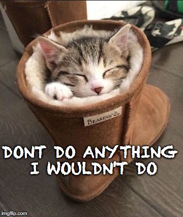  for mankind | DONT DO ANYTHING I WOULDN'T DO | image tagged in kitty,kitten | made w/ Imgflip meme maker
