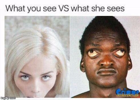image tagged in what you see vs what she sees | made w/ Imgflip meme maker