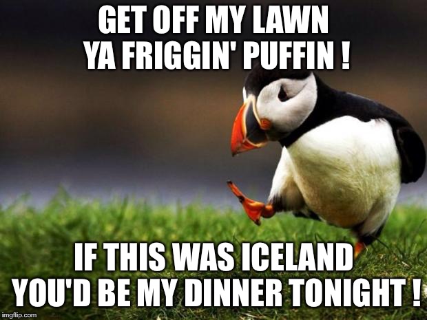 Get off my lawn! | GET OFF MY LAWN YA FRIGGIN' PUFFIN ! IF THIS WAS ICELAND YOU'D BE MY DINNER TONIGHT ! | image tagged in memes,unpopular opinion puffin | made w/ Imgflip meme maker