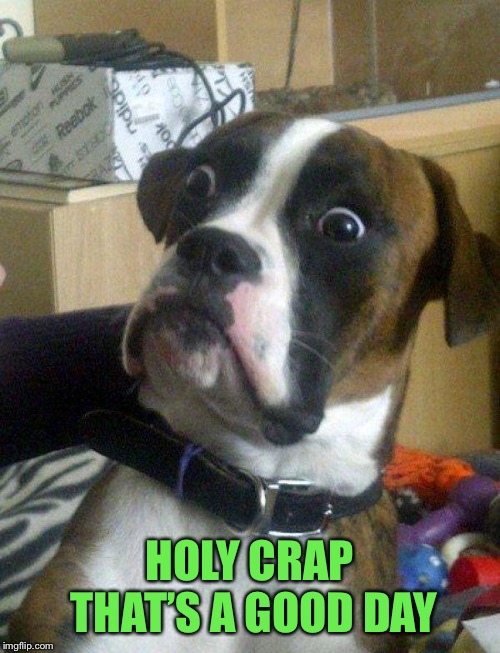 Blankie the Shocked Dog | HOLY CRAP THAT’S A GOOD DAY | image tagged in blankie the shocked dog | made w/ Imgflip meme maker