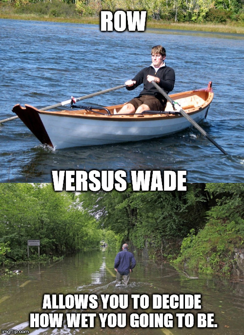 I don't know why the Supreme Court is involved in this. | ROW; VERSUS WADE; ALLOWS YOU TO DECIDE HOW WET YOU GOING TO BE. | image tagged in memes,row v wade | made w/ Imgflip meme maker