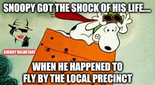 cops and dogs | SNOOPY GOT THE SHOCK OF HIS LIFE.... SHERRY VOLUNTARY; WHEN HE HAPPENED TO FLY BY THE LOCAL PRECINCT | image tagged in funny,dogs,cops | made w/ Imgflip meme maker