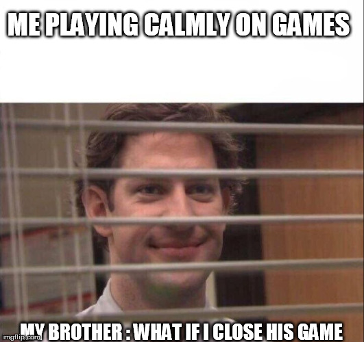 Jim Halpert | ME PLAYING CALMLY ON GAMES; MY BROTHER : WHAT IF I CLOSE HIS GAME | image tagged in jim halpert | made w/ Imgflip meme maker