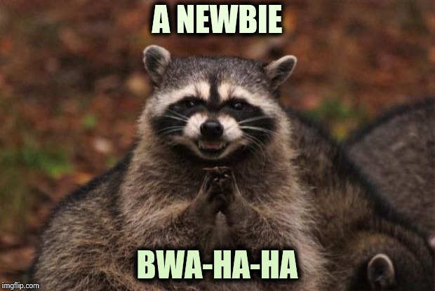 evil genius racoon | A NEWBIE BWA-HA-HA | image tagged in evil genius racoon | made w/ Imgflip meme maker