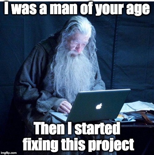 Software development | I was a man of your age; Then I started fixing this project | image tagged in gandalf programmer,programming,legacy project,sad truth,bugs,pain | made w/ Imgflip meme maker