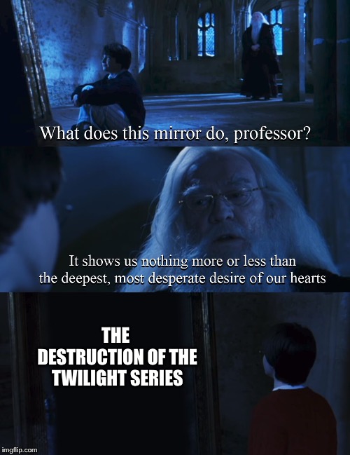 What every Harry Potter fan sees in the mirror  | THE DESTRUCTION OF THE TWILIGHT SERIES | image tagged in harry potter mirror | made w/ Imgflip meme maker