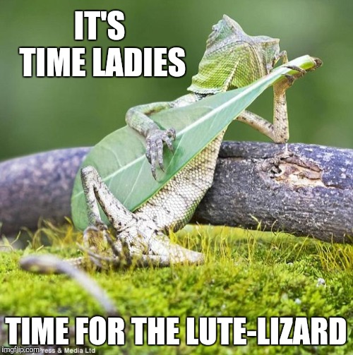Lizard Music | IT'S TIME LADIES TIME FOR THE LUTE-LIZARD | image tagged in lizard music | made w/ Imgflip meme maker