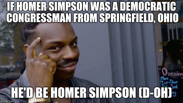 Roll Safe Think About It Meme | IF HOMER SIMPSON WAS A DEMOCRATIC CONGRESSMAN FROM SPRINGFIELD, OHIO; HE'D BE HOMER SIMPSON (D-OH) | image tagged in memes,roll safe think about it | made w/ Imgflip meme maker