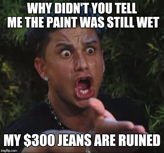 DJ Pauly D Meme | WHY DIDN'T YOU TELL ME THE PAINT WAS STILL WET MY $300 JEANS ARE RUINED | image tagged in memes,dj pauly d | made w/ Imgflip meme maker