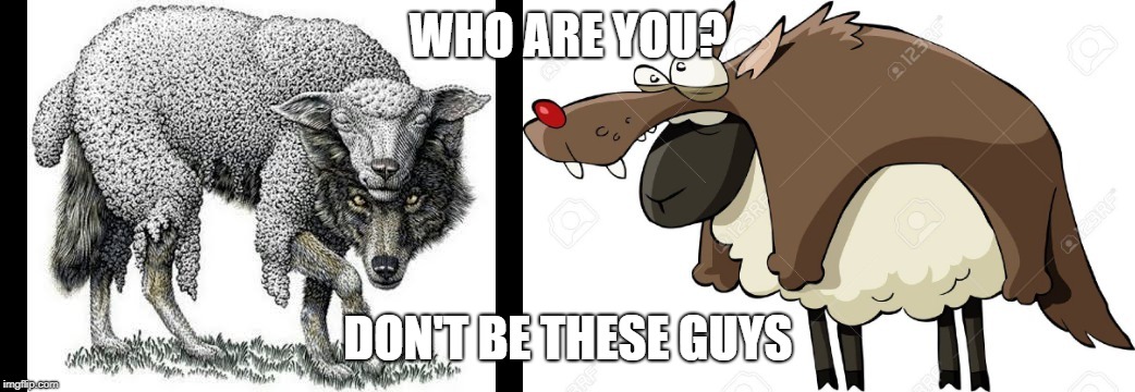 WHO ARE YOU? DON'T BE THESE GUYS | image tagged in who are you | made w/ Imgflip meme maker