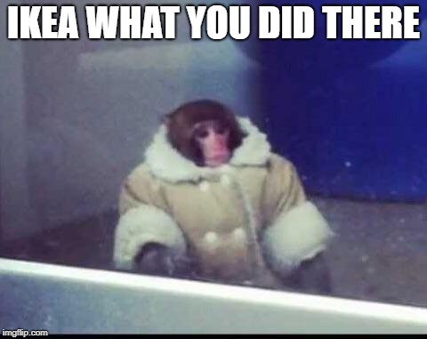 IKEA monkey | IKEA WHAT YOU DID THERE | image tagged in ikea monkey | made w/ Imgflip meme maker