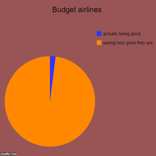 Budget airlines | saying how good they are, actually being good | image tagged in funny,pie charts | made w/ Imgflip chart maker