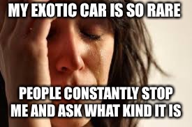 Crying Lady | MY EXOTIC CAR IS SO RARE; PEOPLE CONSTANTLY STOP ME AND ASK WHAT KIND IT IS | image tagged in crying lady | made w/ Imgflip meme maker