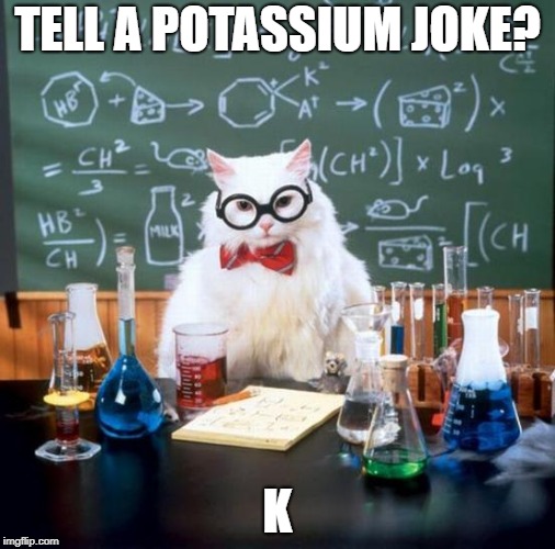 Chemistry Cat Meme | TELL A POTASSIUM JOKE? K | image tagged in memes,chemistry cat | made w/ Imgflip meme maker